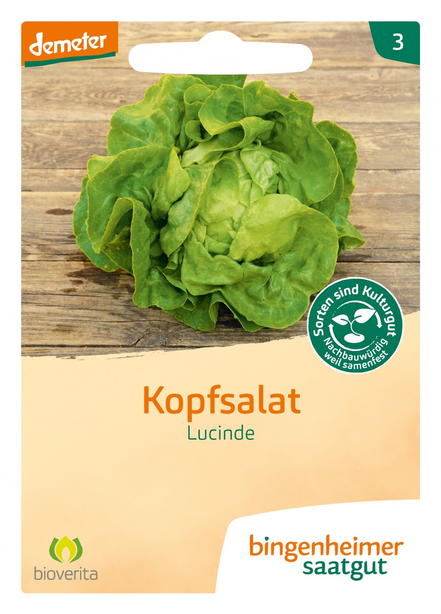 Bingenheimer Saatgut Kopfsalat Lucinde