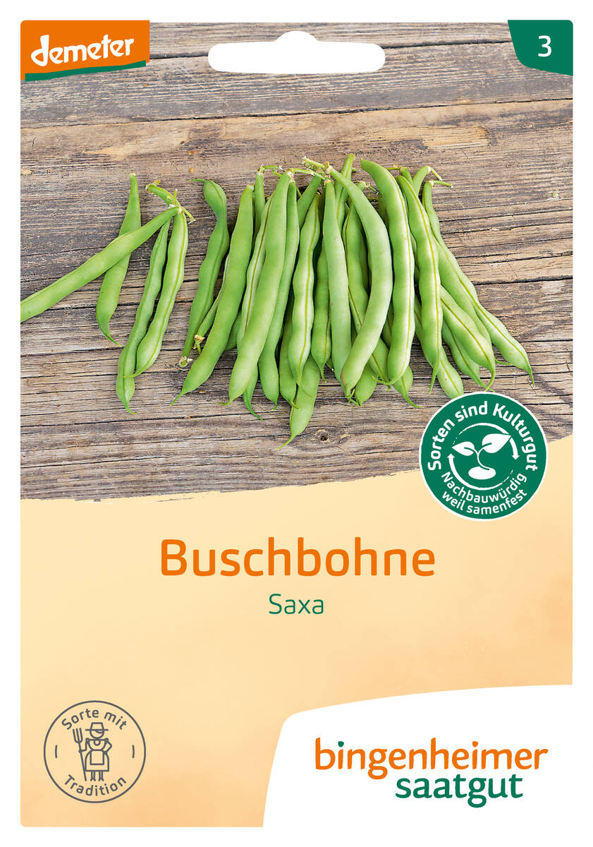 Bingenheimer Saatgut Buschbohne Saxa