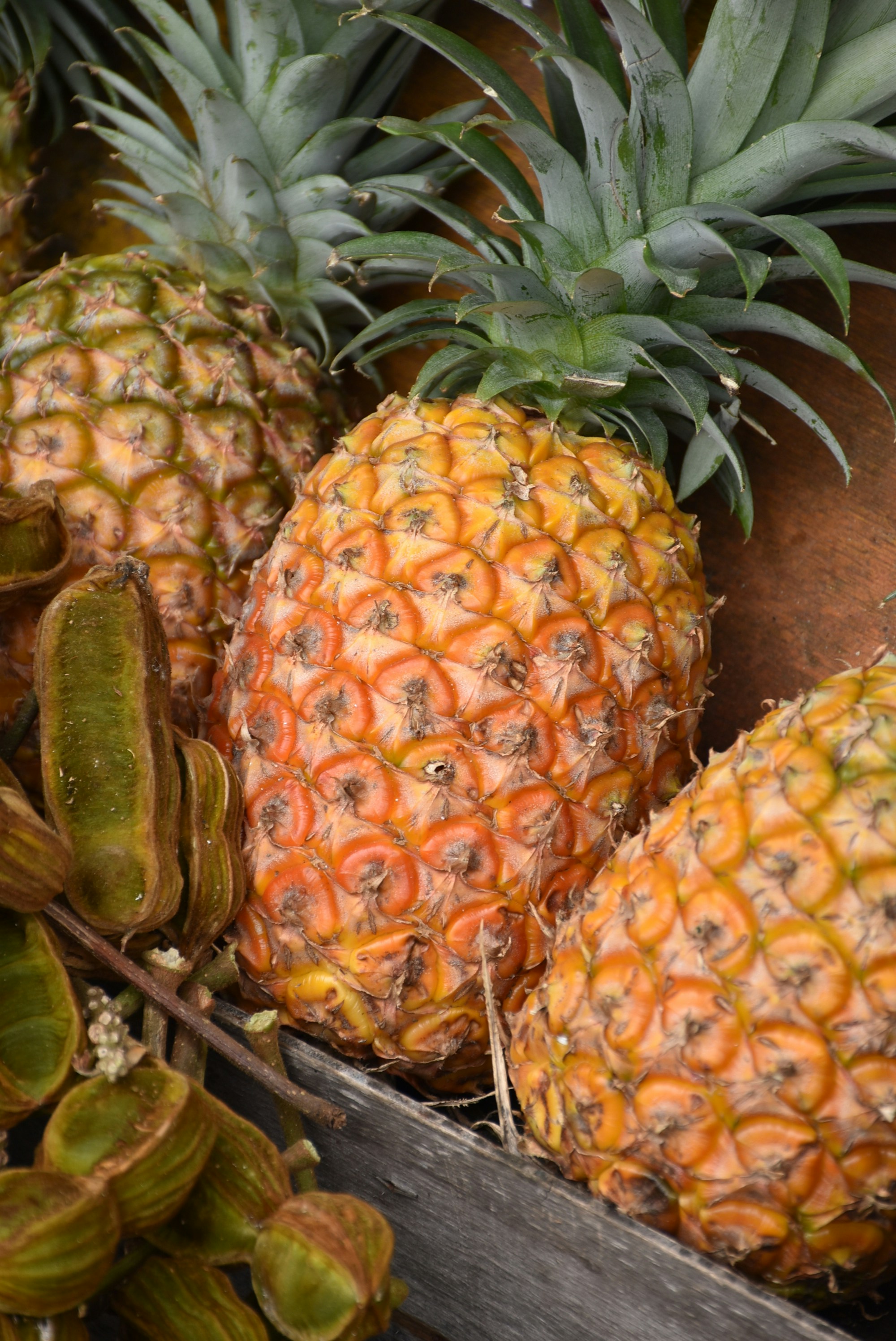 Ananas entier bio en rondelles 1kg