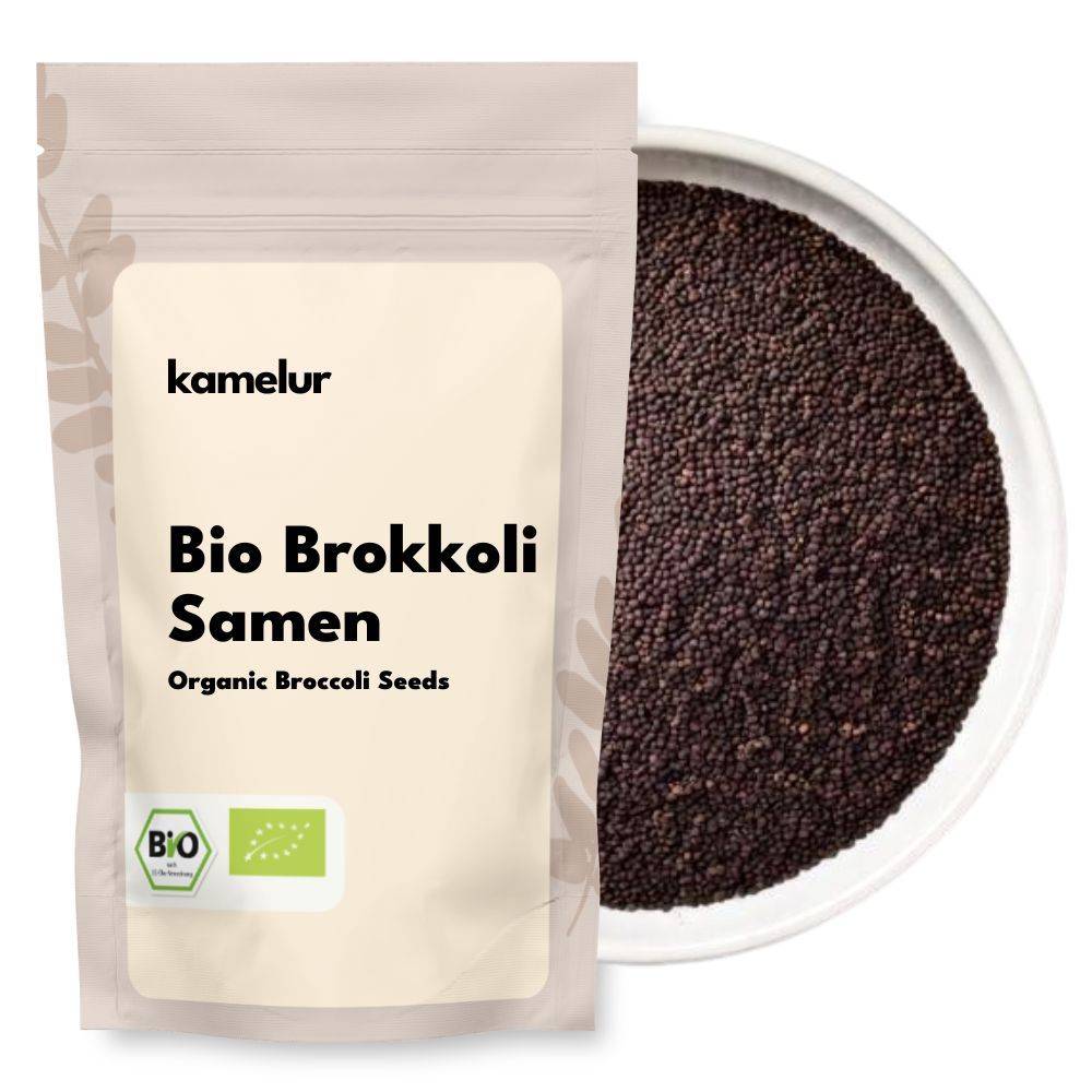 Graines de brocoli bio 1kg