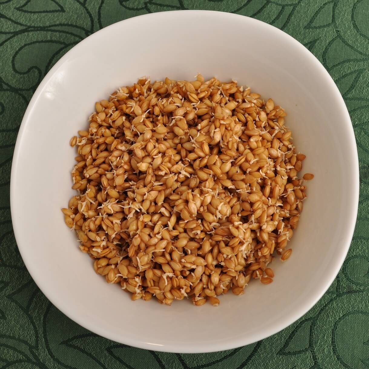 Petit épeautre bio, entier 5 kg