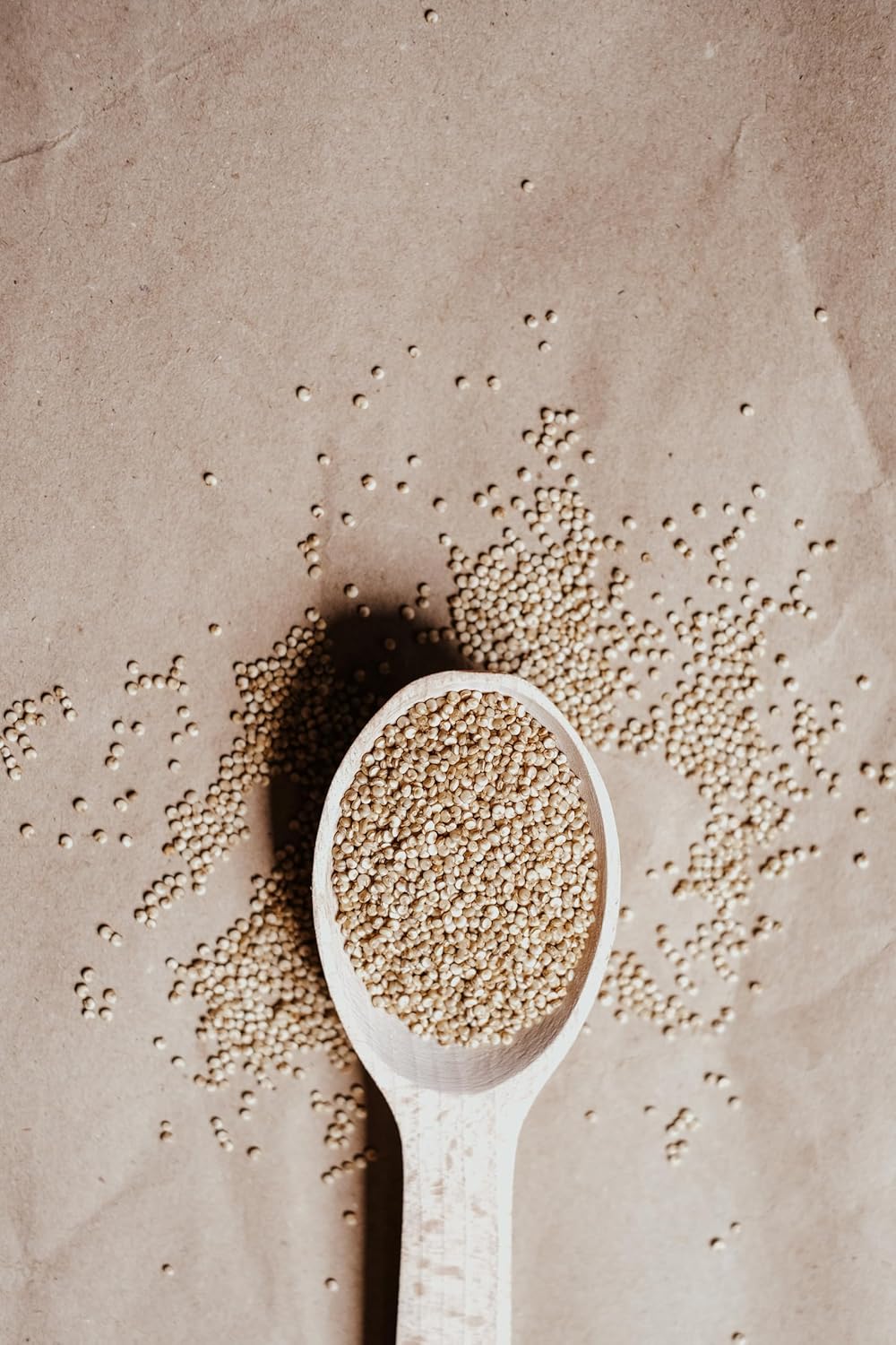Quinoa blanc bio 500g
