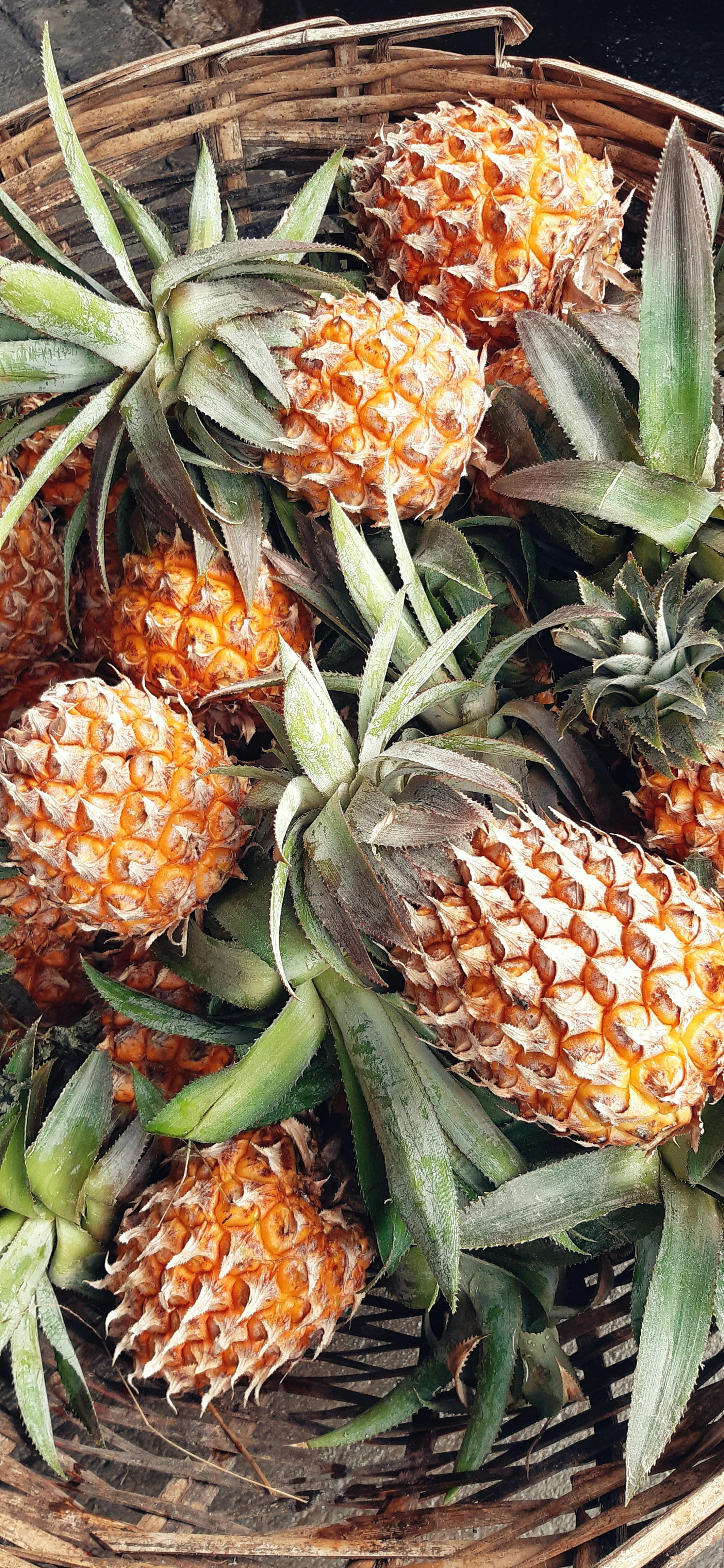 Morceaux d'ananas bio lyophilisés 500g