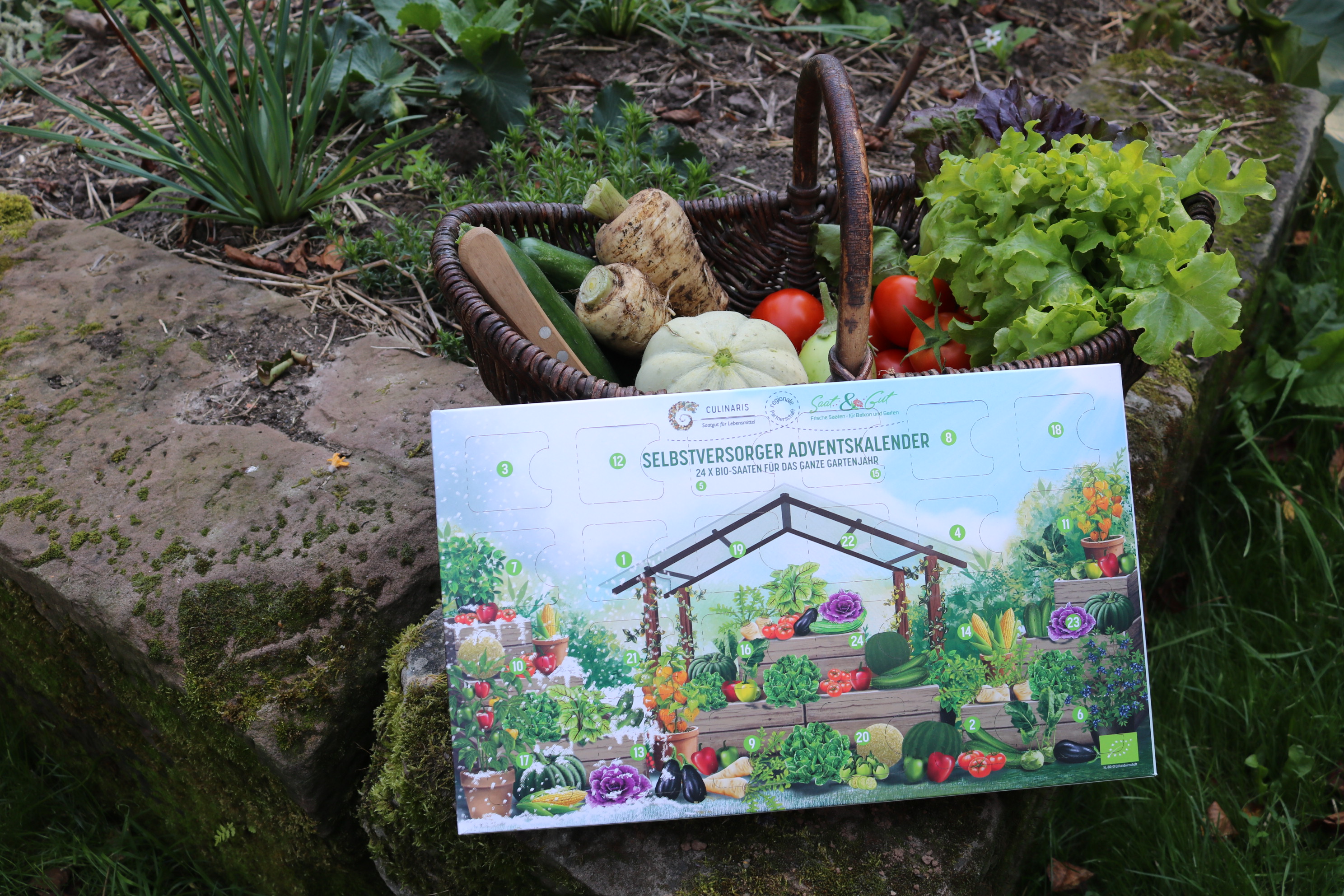 Culinaris Bio Saatgut Adventskalender 2025 1 Stück